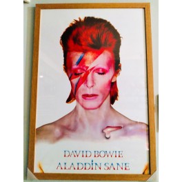 David Bowie Aladdin Sane Framed Poster