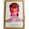 David Bowie Aladdin Sane