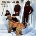 The Beatles – Silver Lining (LP)